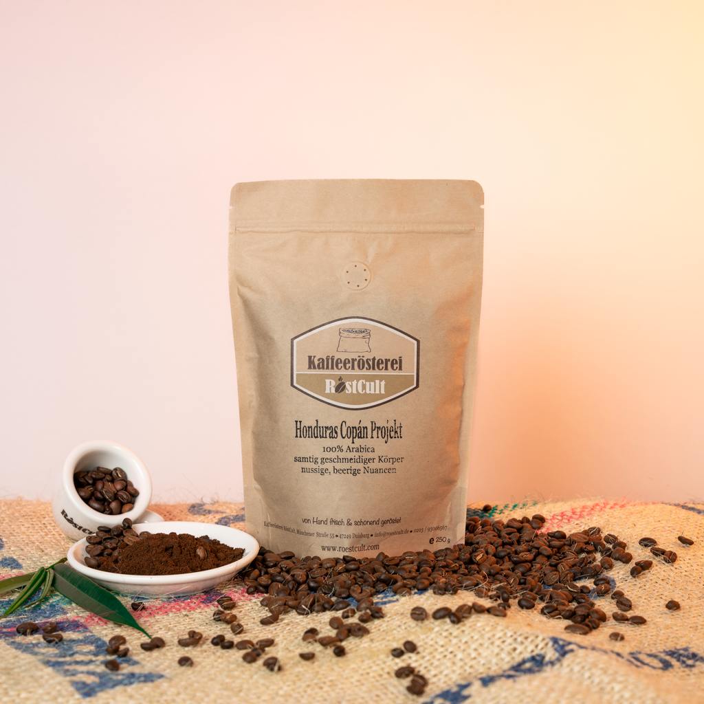 Honduras Copán Projekt